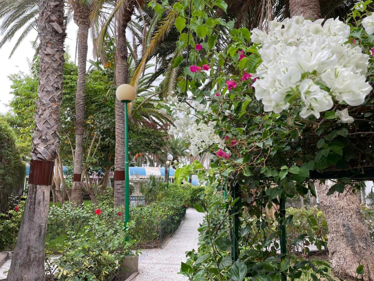 Surycan Tropical Garden Apartment Playa del Inglés Exteriör bild
