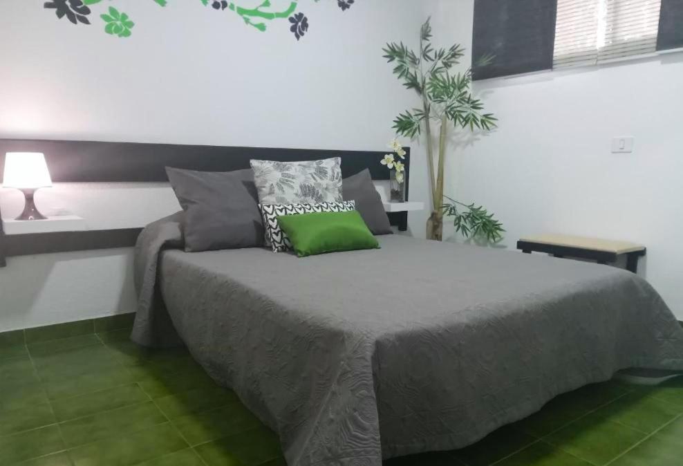 Surycan Tropical Garden Apartment Playa del Inglés Exteriör bild